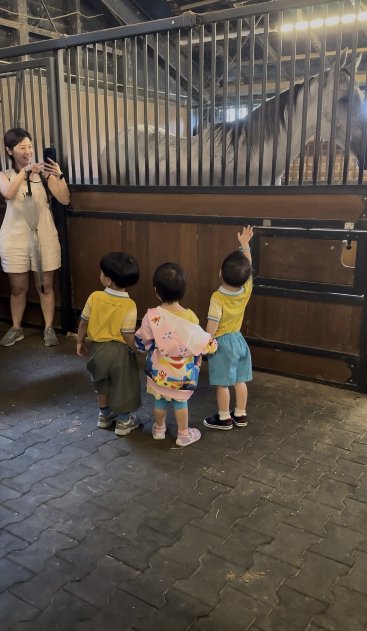 Children visiting a horse in its stable