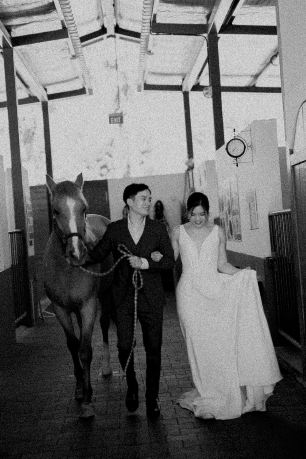 A wedding couple walking with a horse