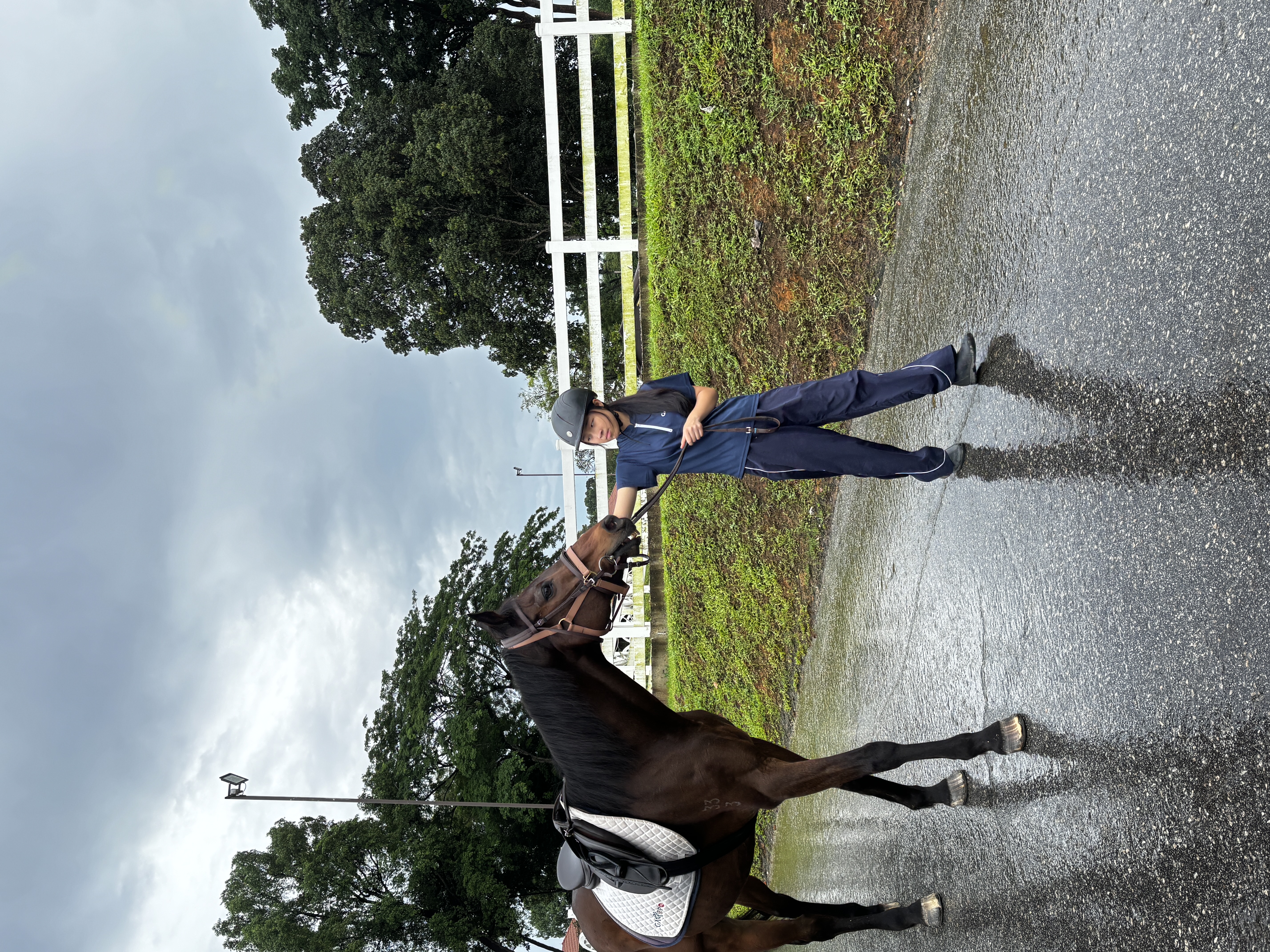 A handler leading a horse outdoors