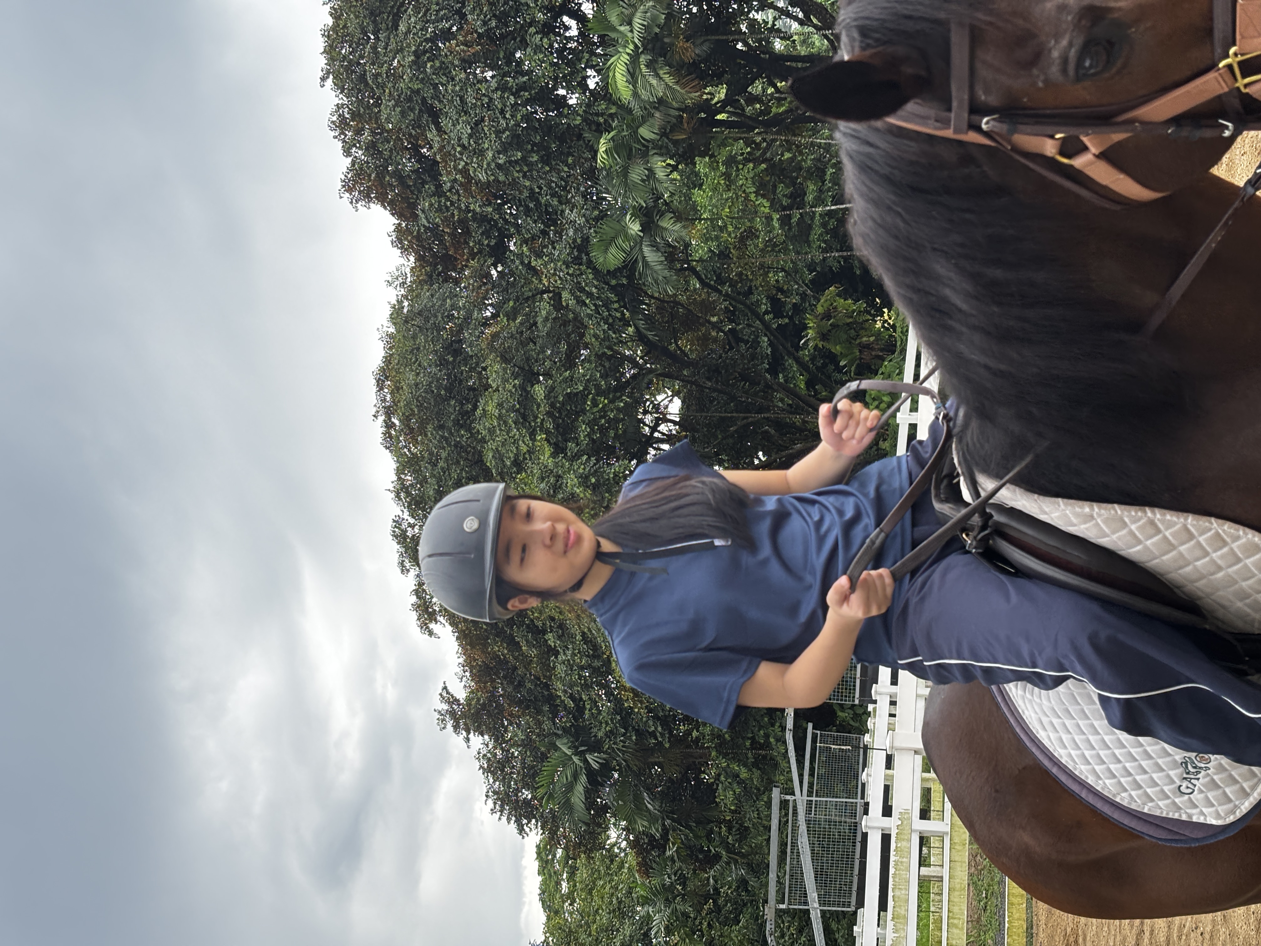 A rider sitting on a dark horse