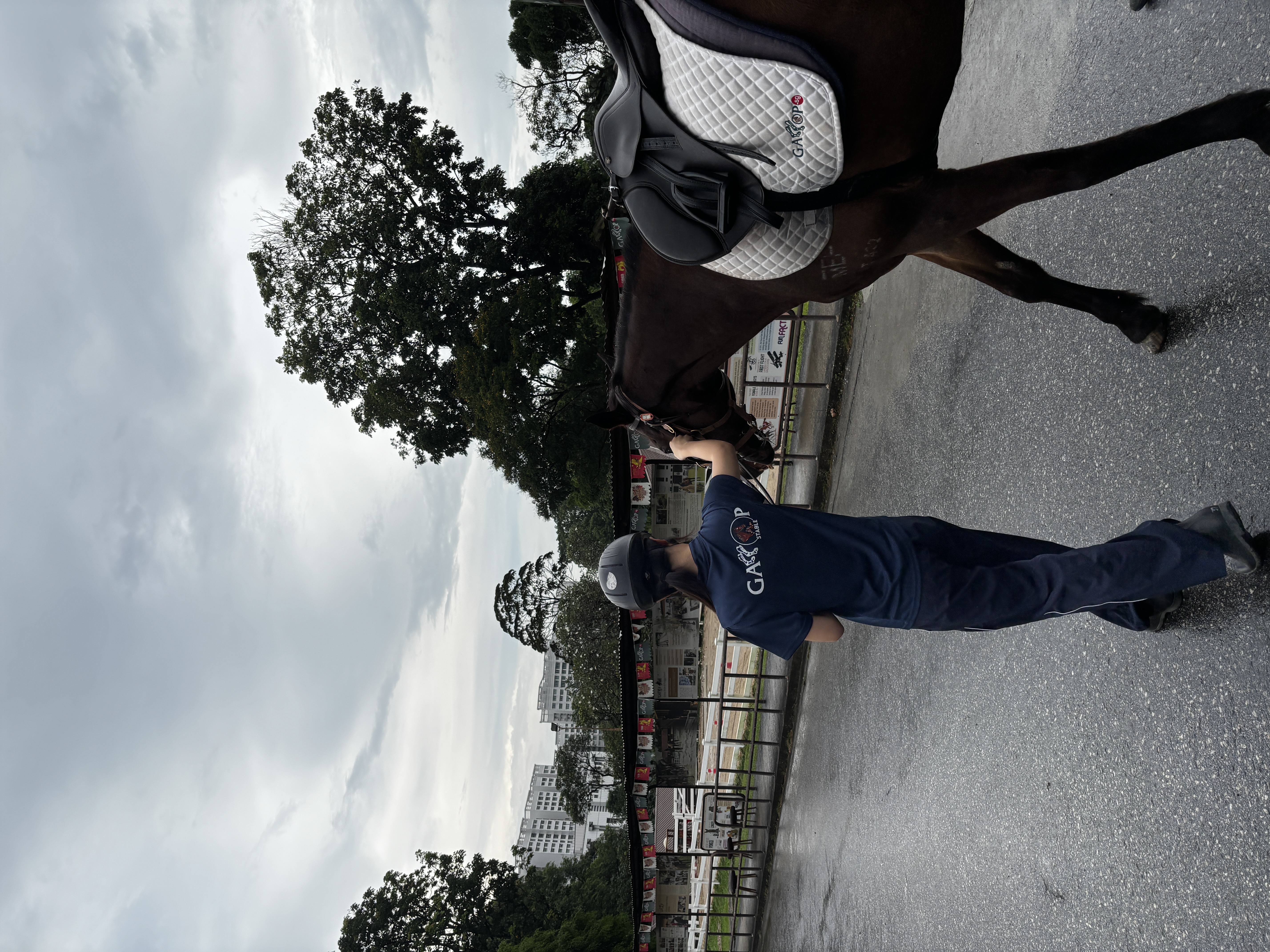 A handler walking beside a saddled horse