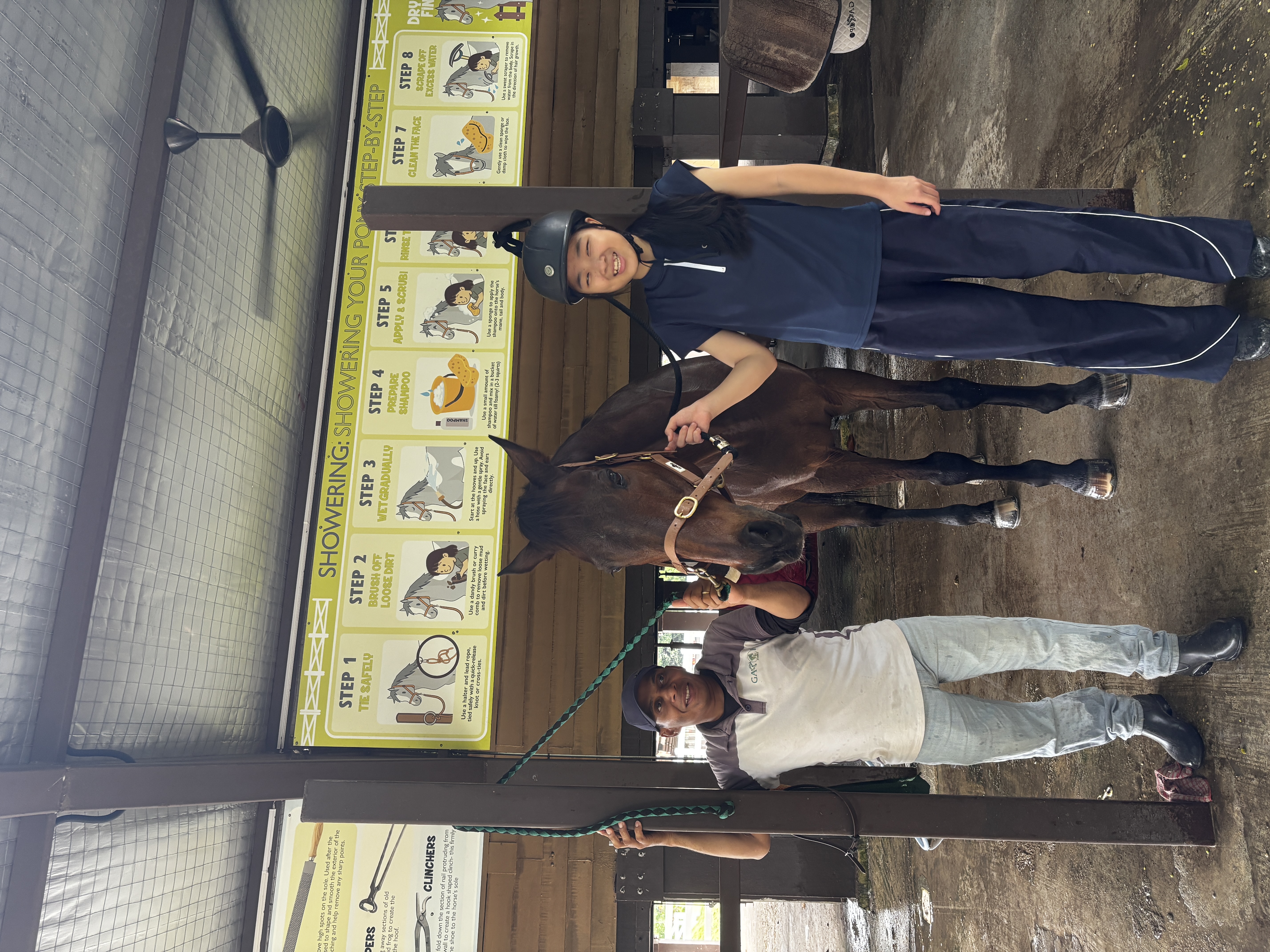 A horse experience at Gallop Stable